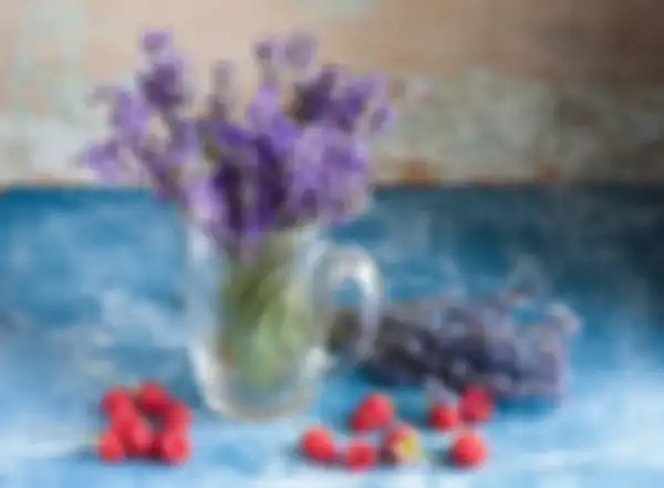 Lavender sebagai salah satu benda di ruang tamu yang bikin keluarga sehat sentosa