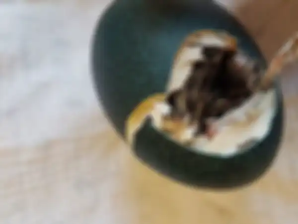 Telur mulai menetas.