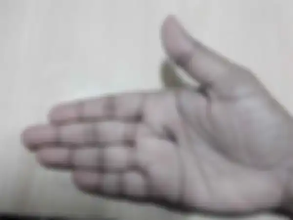 Huruf v pada garis tangan