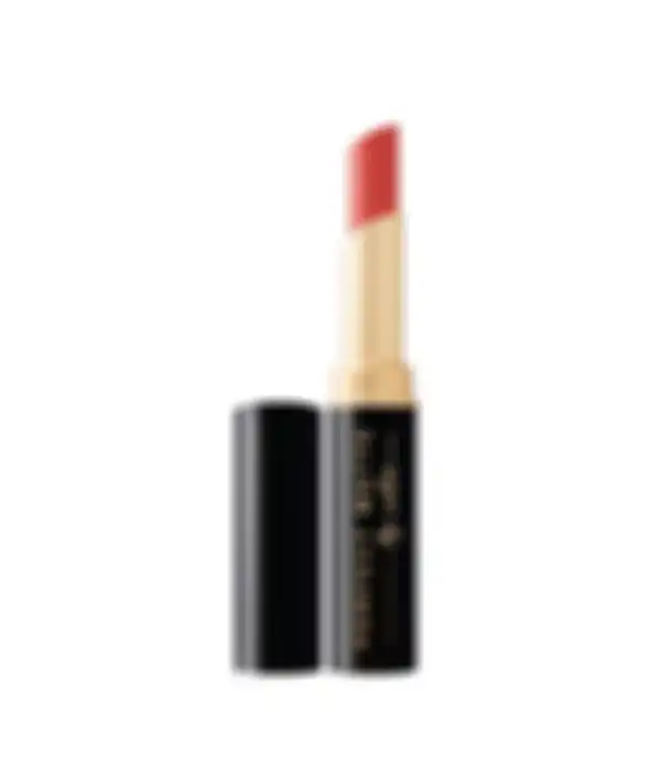 Viva Perfect Matte Lip Color