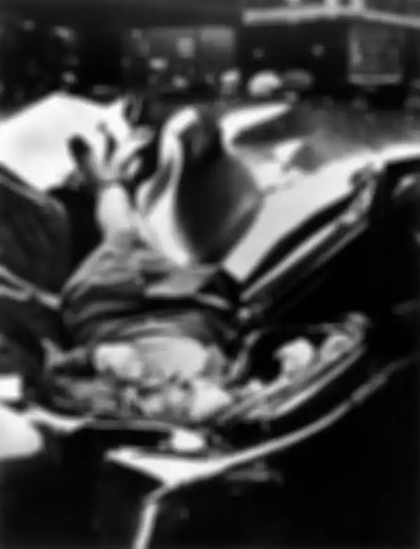 Inilah foto bunuh diri terindah di dunia oleh Evelyn McHale.