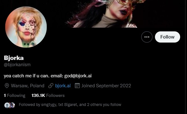 Deskripsi profil twitter Bjorka mencantumkan lokasi Warsawa, Polandia