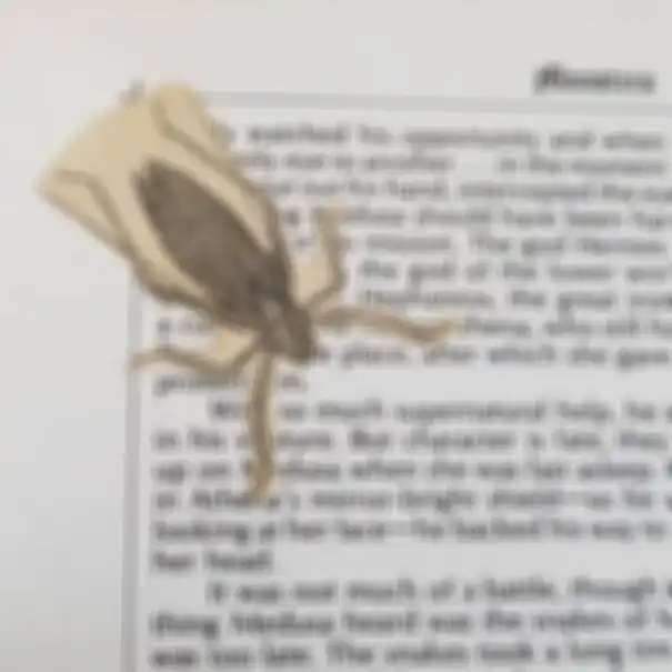 Temuan unik dan tak terduga dalam buku bekas