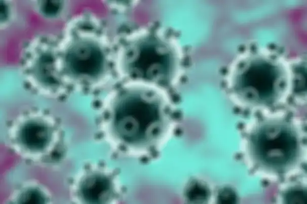 Ilustrasi Virus