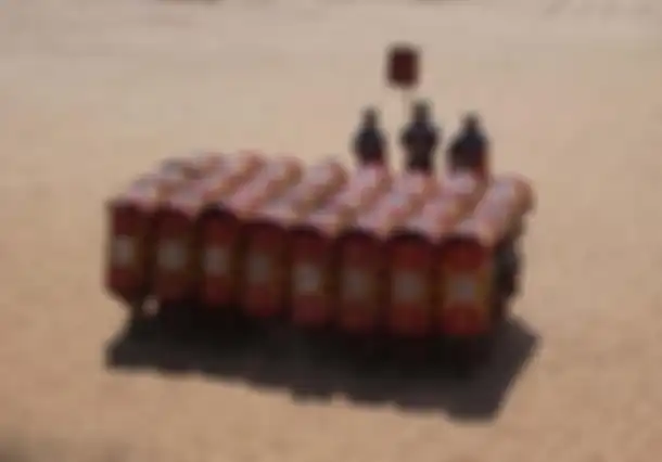 Formasi Testudo
