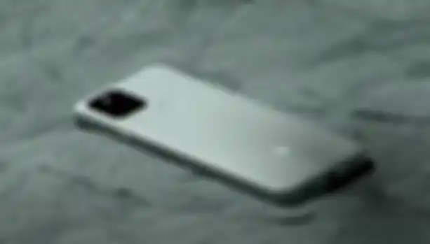 Google Pixel 5 varian warna Sorta Sarge.