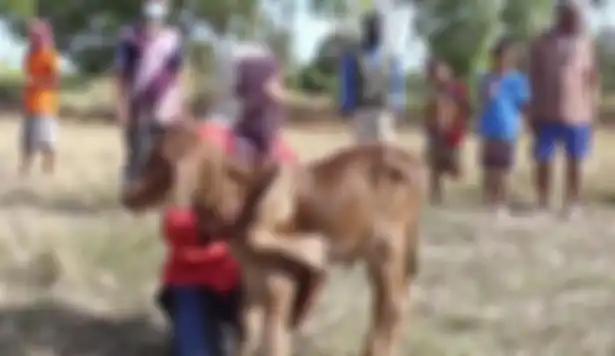 Sapi mutan