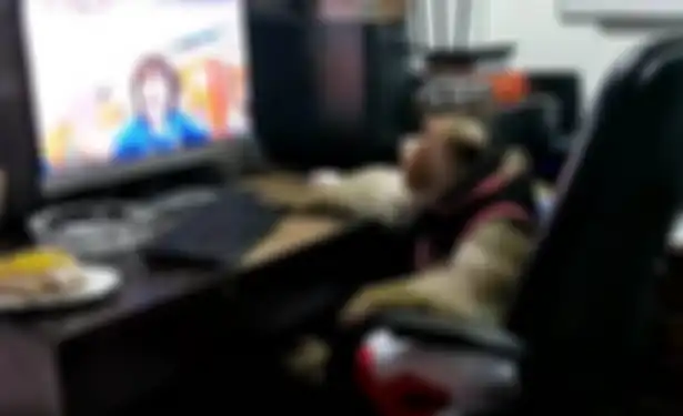 Pasangan monyet jantan dan betina ini layaknya manusia