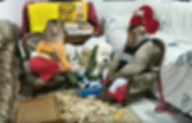 Pasangan monyet jantan dan betina ini layaknya manusia