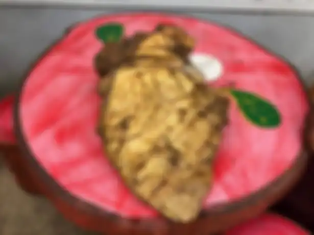 Ini adalah ambergris salah satu kotoran termahal di dunia.