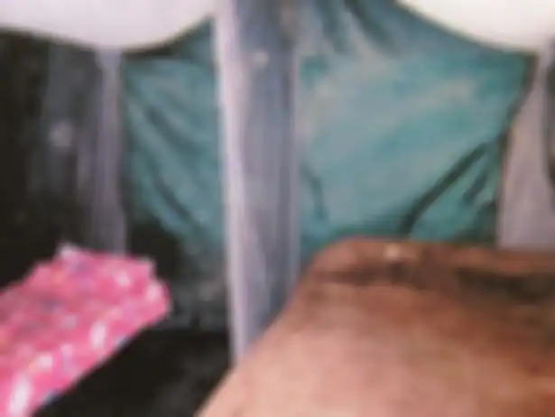 Ini adalah kamar tempat tinggal keluarga Colt yang terbuat dari tenda.