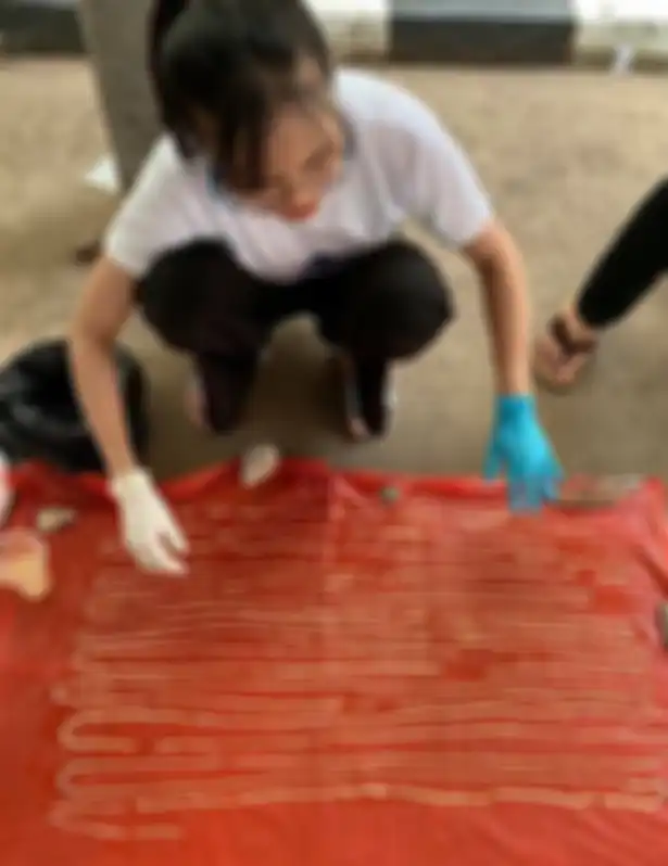 Cacing pita sapi atau cacing pita Taenia saginata.