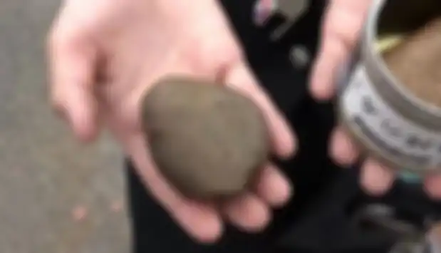 Viral batu kalengan dijual di Jepang.
