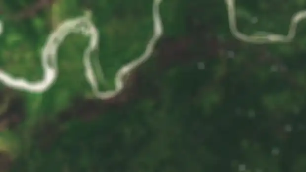 Kondisi hutan di Papua tahun 2001 yang diambil dari foto satelit NASA