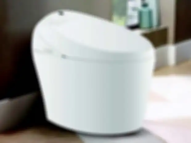 Kloset ini hemat air hingga 6 liter.