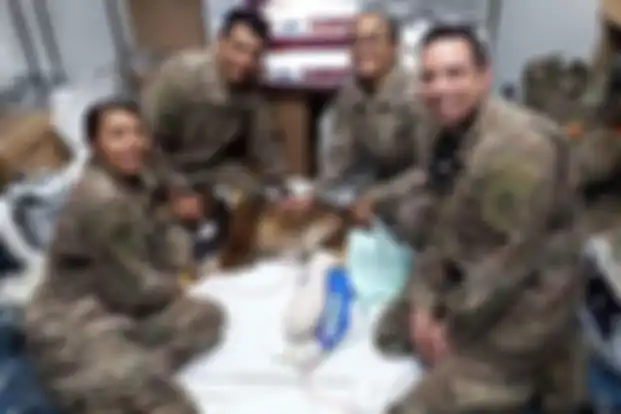 Kuno, anjing pekerja militer Inggris, pertaruhkan nyawa hingga harus kehilangan kaki.