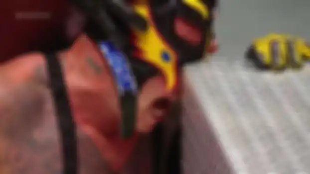 Rey Mysterio vs Seth Rollins
