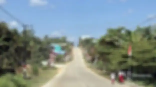 Sebagian nama kampung di Penajam Paser Utara bernuansa Jawa seperti Desa Argo Mulyo di Sepaku. 