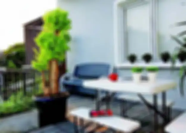 Tanaman hias jadi dekorasi cantik yang menyegarkan balkon.
