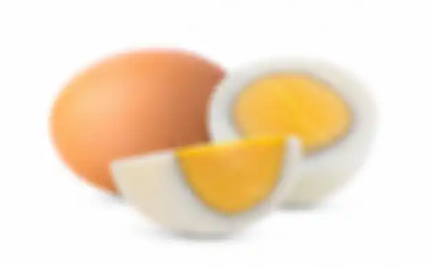 Ilustrasi telur