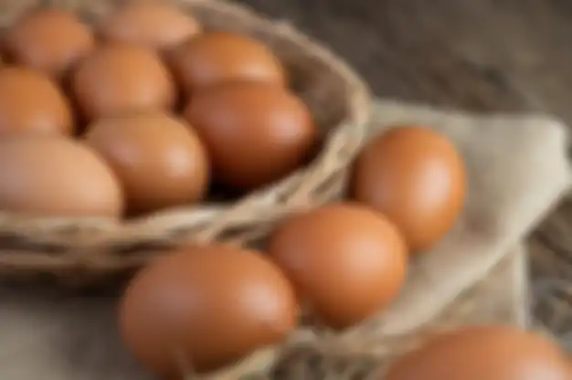 ilustrasi telur ayam