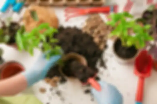Ilustrasi berkebun