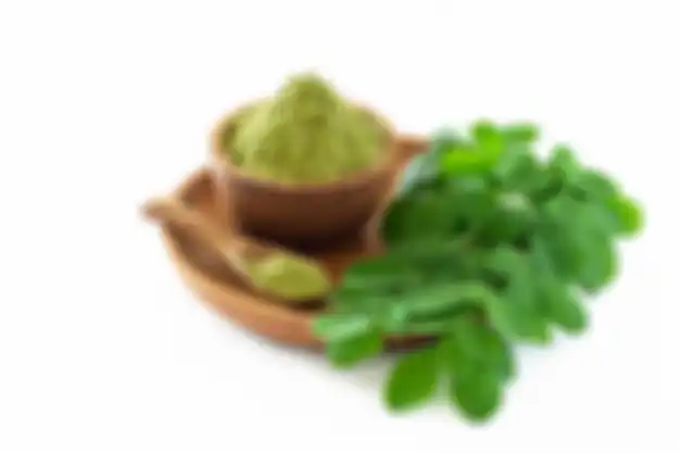 khasiat daun kelor