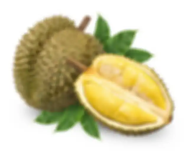 Ilustrasi durian