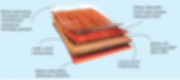 Ilustrasi susunan Parket laminate.