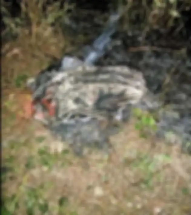 Pesawat latih tempur TNI T-50i Golden Eagle bukan cuma jatuh d Blora. Pesawat ini juga celaka saat solo aktrobatik di Yogyakarta.