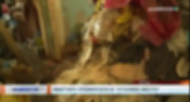 pakaian kotor juga ditemukan bersama urin dalam botol.