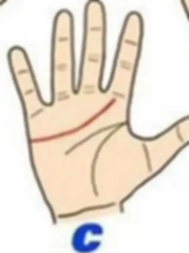  Garis tangan C