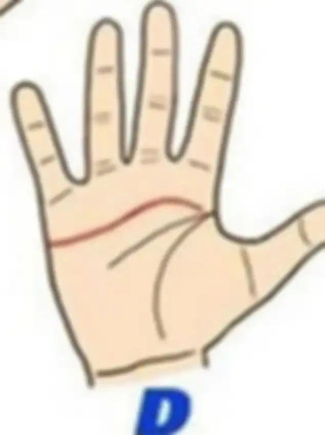  Garis tangan D