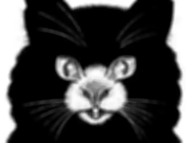 Tes kepribadian, kucing atau tikus?