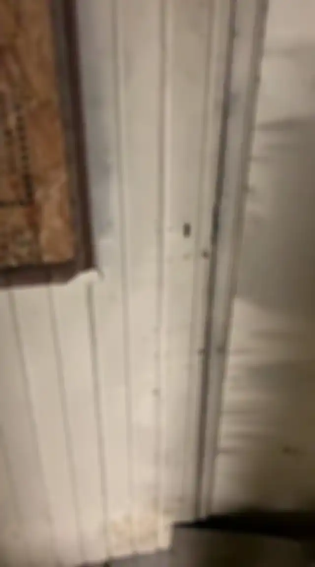 Ini adalah pintu yang ditemukan oleh Chase.