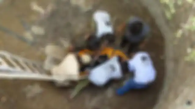 Seorang Pemuda Mendengar Tangisan dari Sumur 12 Meter dan Temukan Beruang Sloth yang Malang, Ini Video Penyelamatannya!