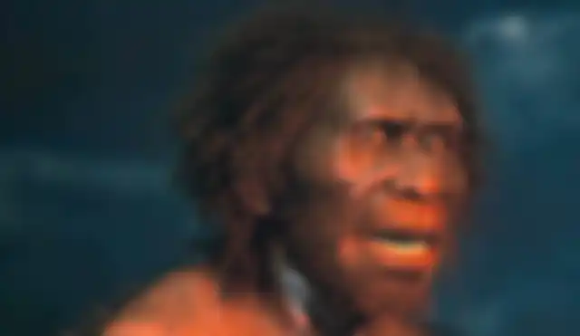 Homo erectus, manusia purba yang memiliki banyak bulu di sekujur tubuh