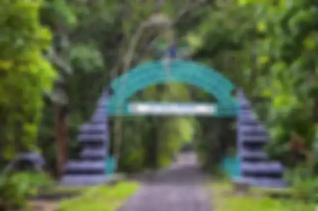 Hutan Alas Purwo
