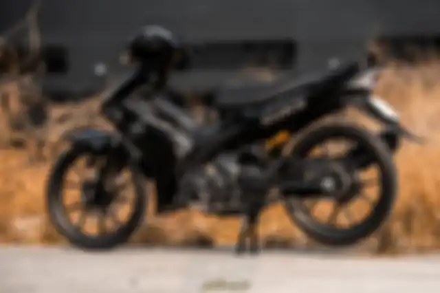 Kaki-kaki juga berkelir hitam.