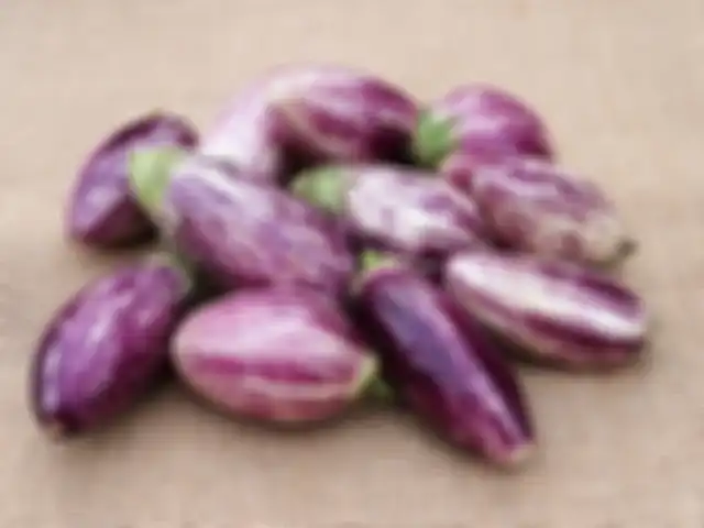 Manfaat terong ungu