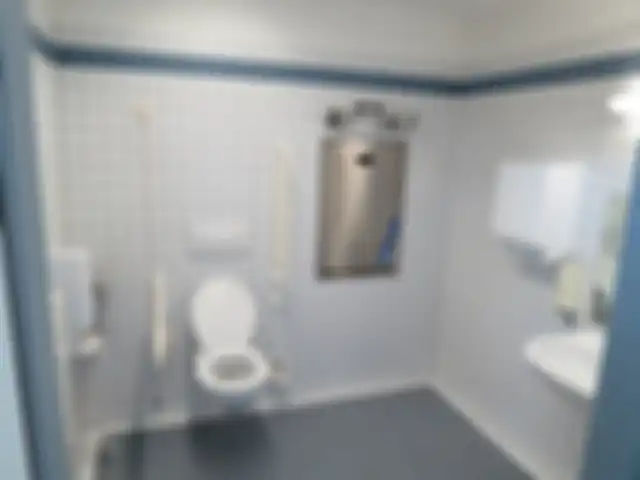Ilustrasi toilet