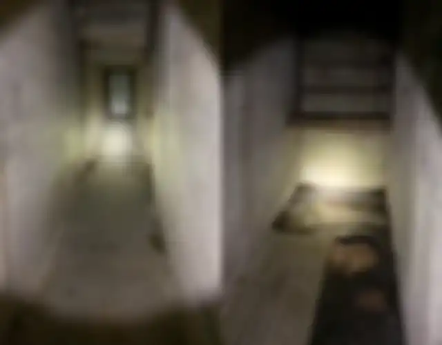 Lorong yang ditemukan di balik rumah bekas itu.