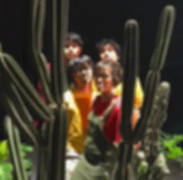 something cactus is on its way