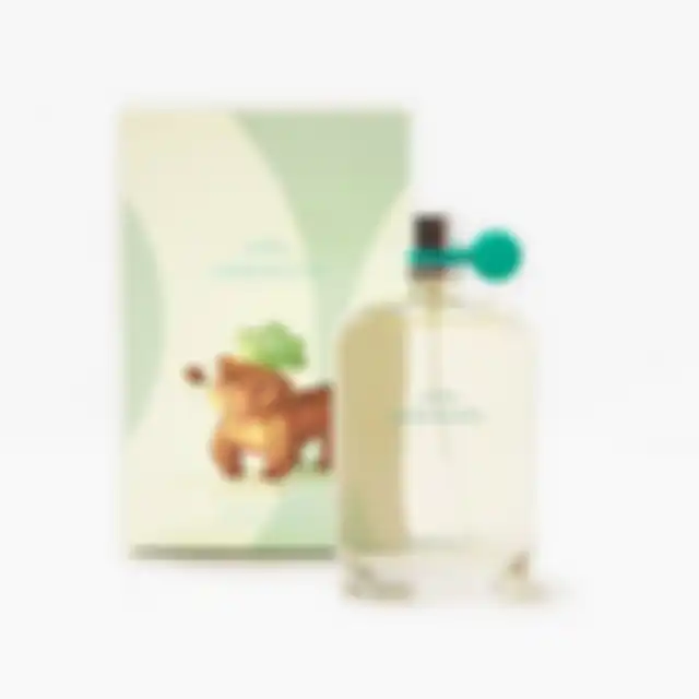 Zara Chocolate