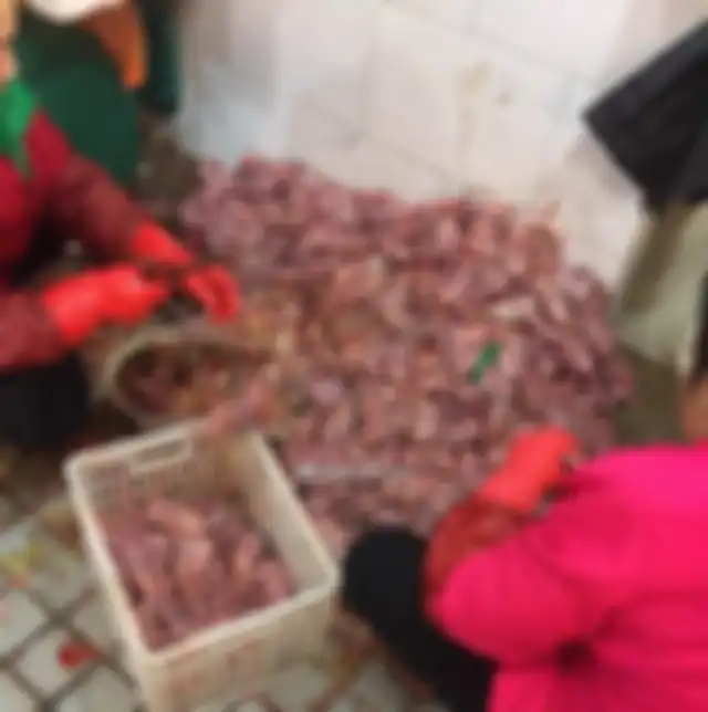 Pedagang di pasar hewan di Wuhan.