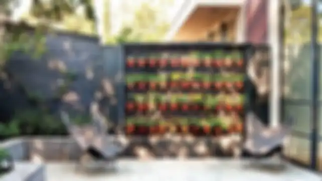 Begini Inspirasi Hadirkan Taman Vertikal pada Hunian Lahan Terbatas, Estetik!