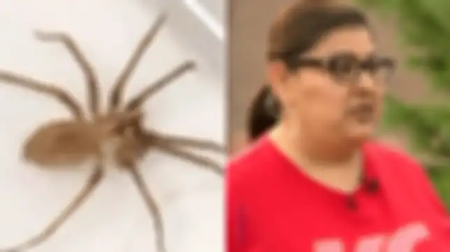 Susie mengaku ketakutan setelah laba-laba tinggal di telinganya.