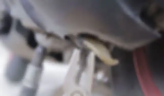 Slang kecil bening di CVT motor matic