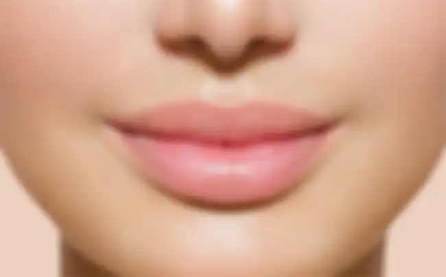 bibir besar