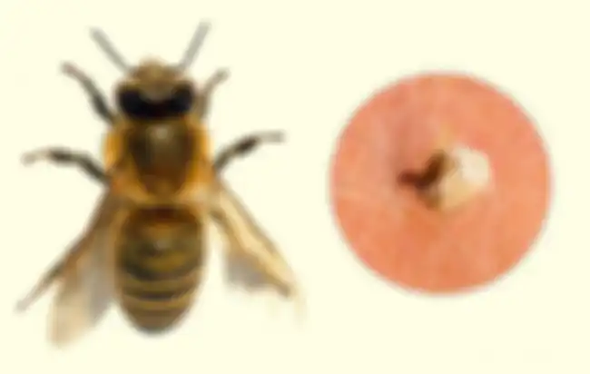 Lebah